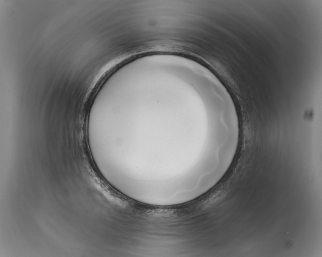 X0000114150846200911051441