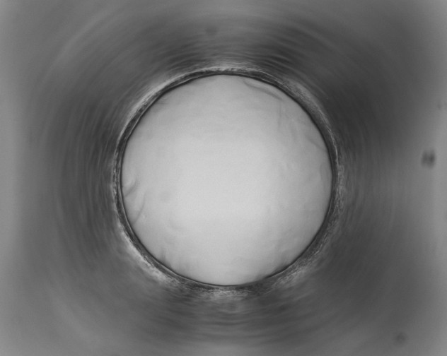 X0000114150847200911051441