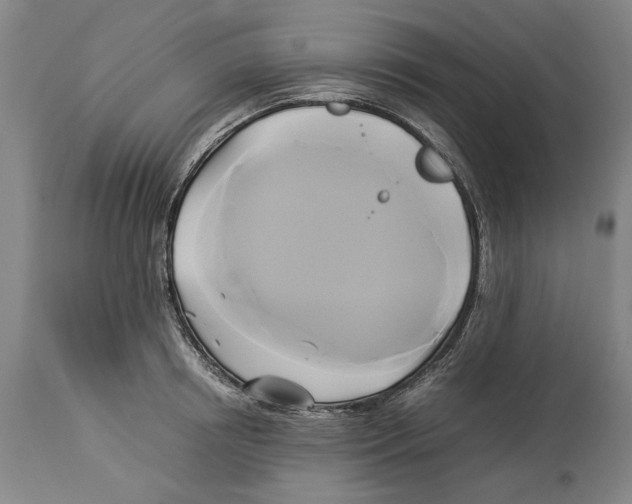 X0000114150850200911051441