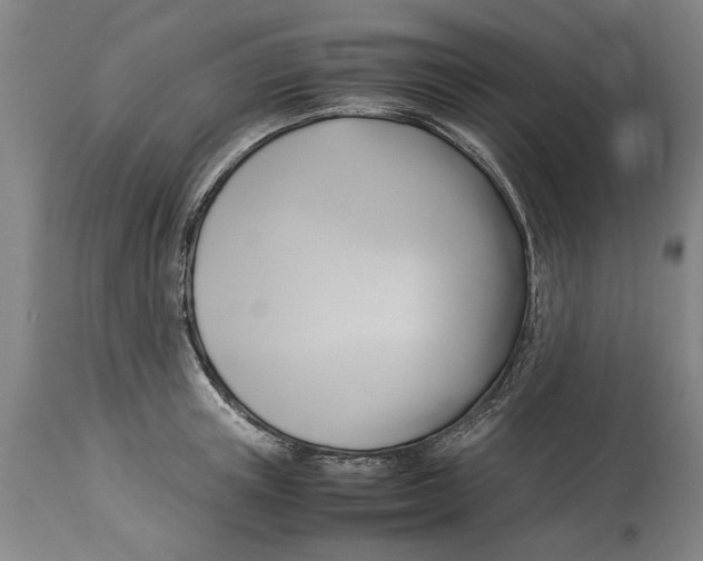 X0000114150851200911051441