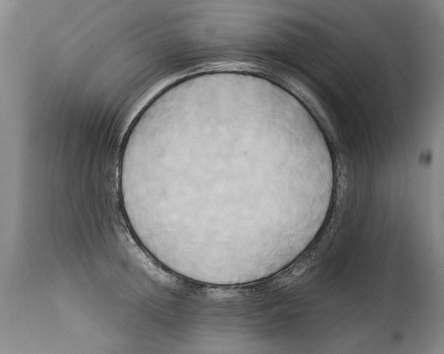 X0000114150852200911051441