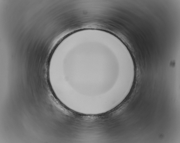 X0000114150854200911051441