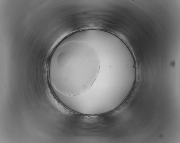 X0000114150859200911051441