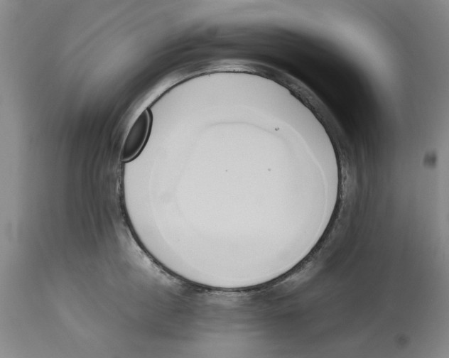 X0000114150860200911051441