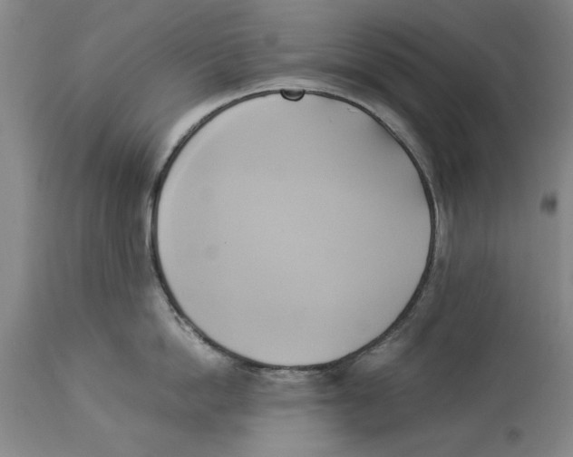 X0000114150862200911051441