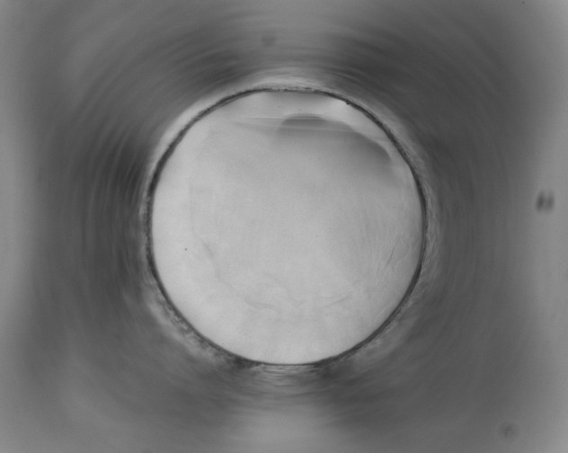 X0000114150864200911051441