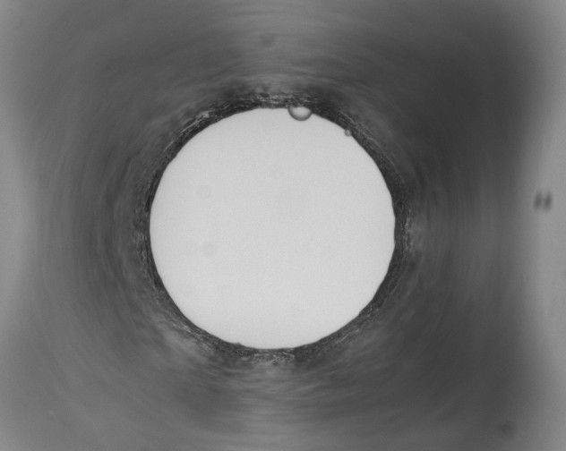 X0000114150865200911051440