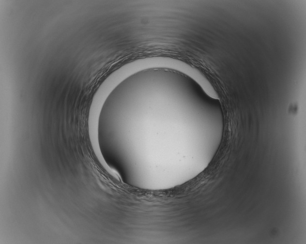 X0000114150868200911051440