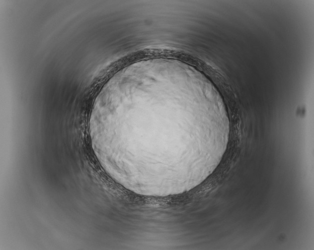 X0000114150870200911051440