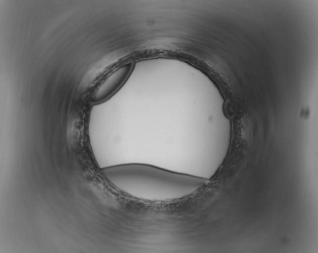 X0000114150872200911051440