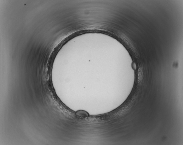 X0000114150876200911051440