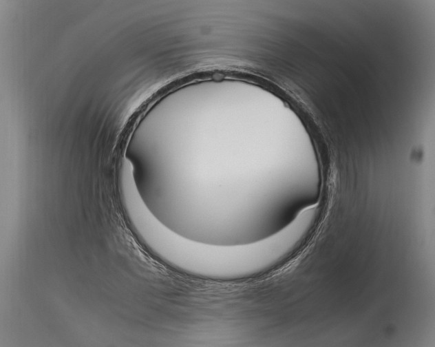 X0000114150877200911051440
