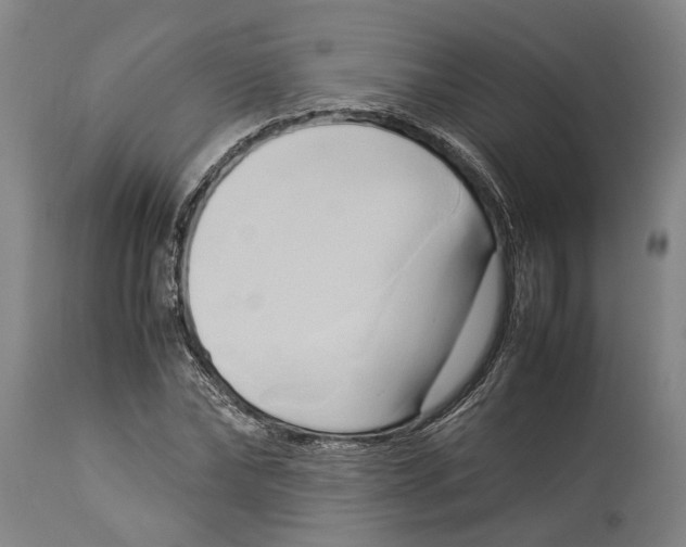 X0000114150878200911051440