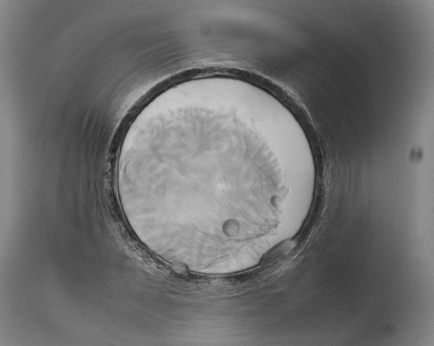 X0000114150879200911051440