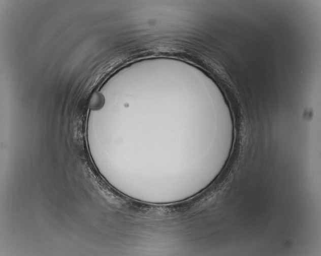 X0000114150881200911051440