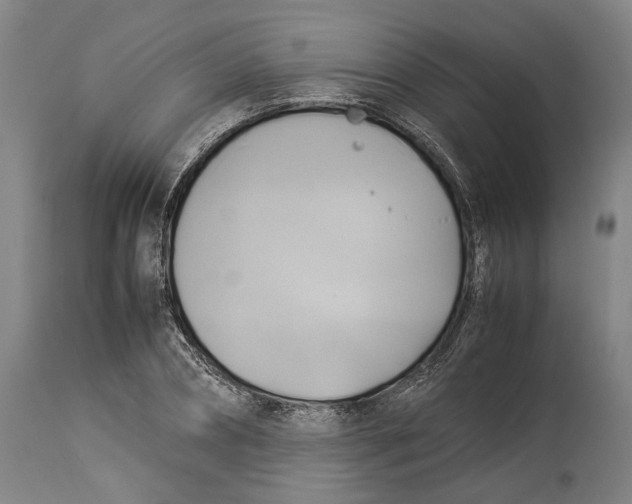 X0000114150882200911051440