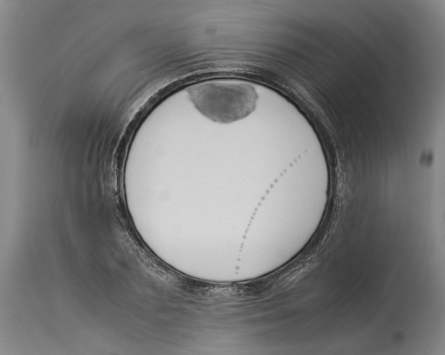X0000114150883200911051440