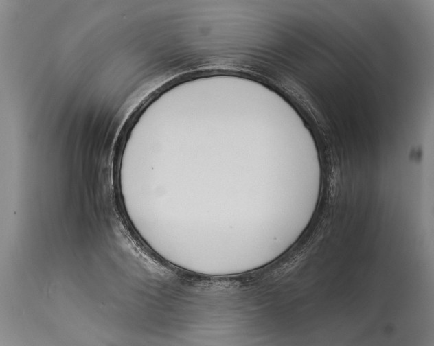 X0000114150884200911051440