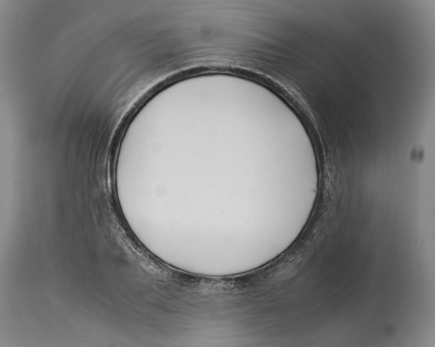X0000114150887200911051440