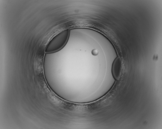 X0000114150889200911051440