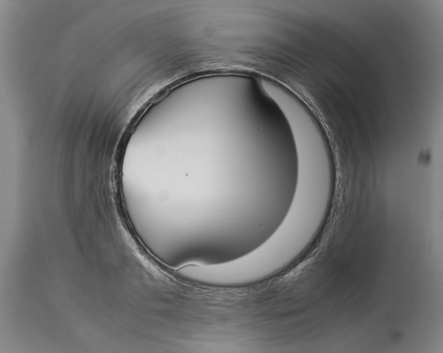 X0000114150893200911051440