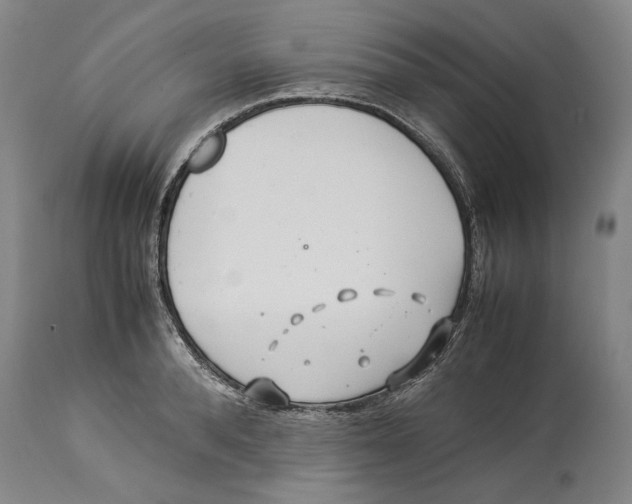 X0000114150896200911051440