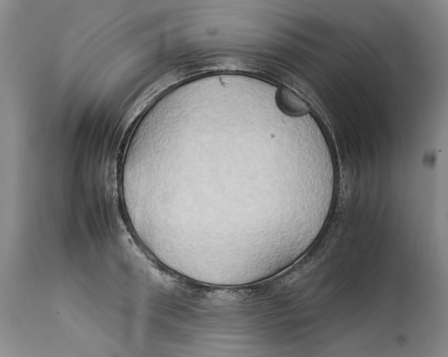 X0000114150898200911051440