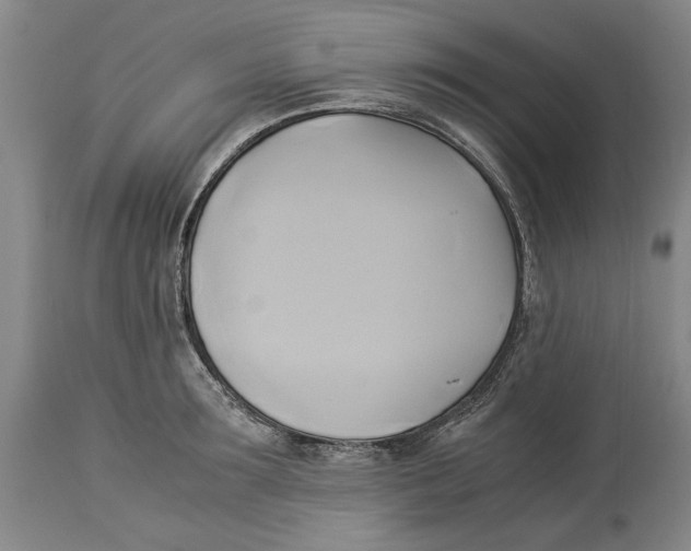 X0000114150899200911051440