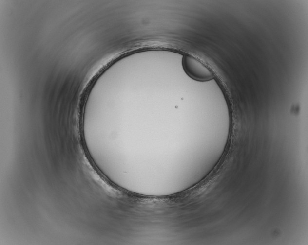 X0000114150902200911051440