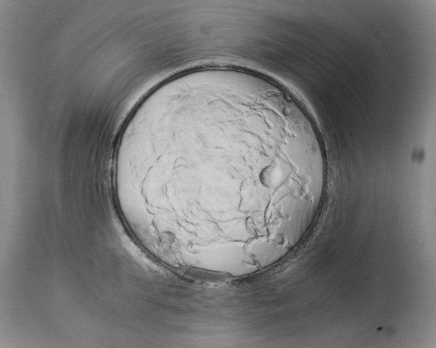 X0000114150903200911051440