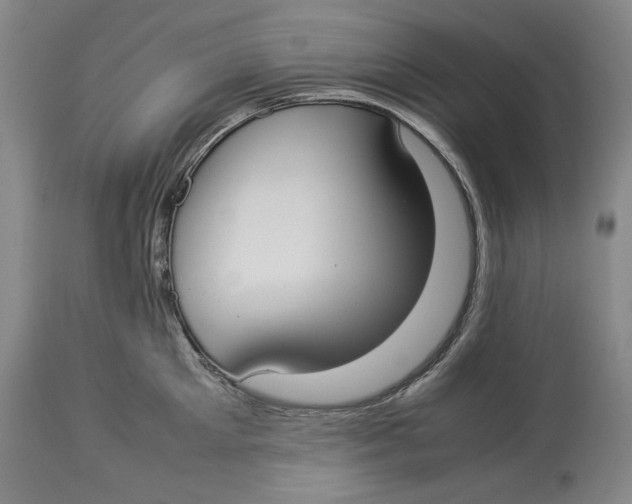 X0000114150905200911051440