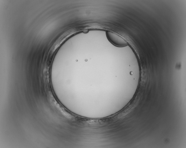 X0000114150906200911051440