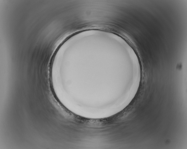 X0000114150907200911051440