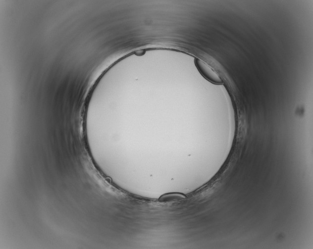 X0000114150908200911051440