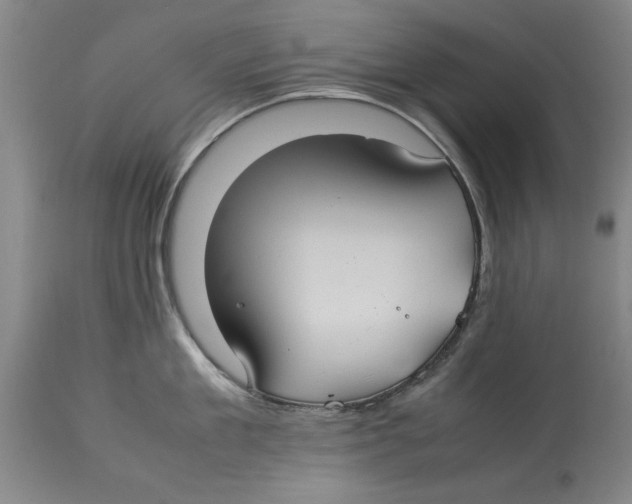 X0000114150909200911051440