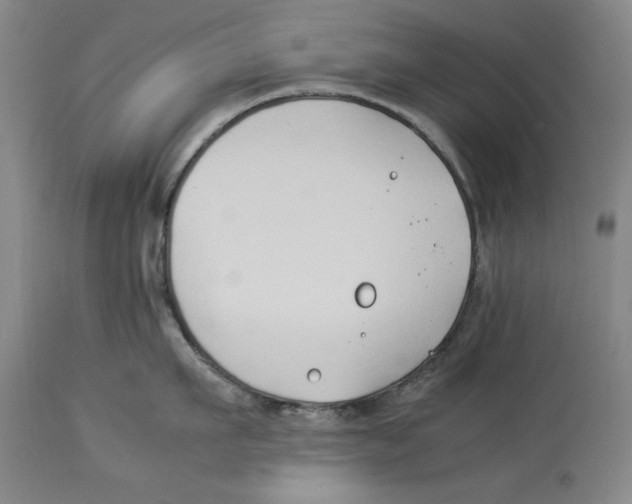 X0000114150911200911051440