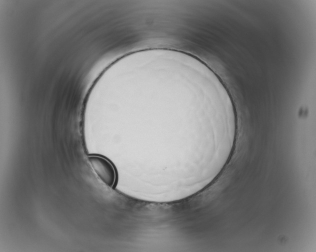 X0000114150912200911051440