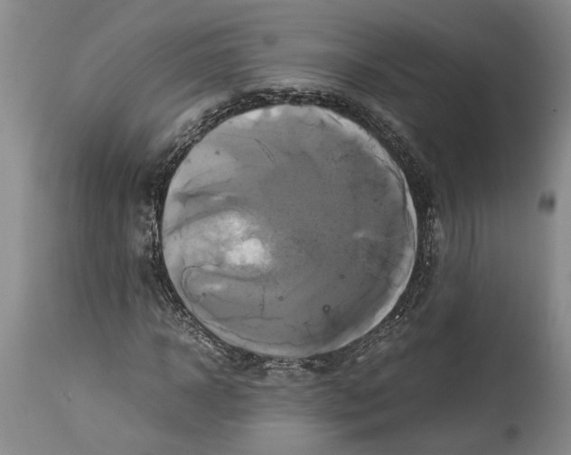 X0000114150918200911051439