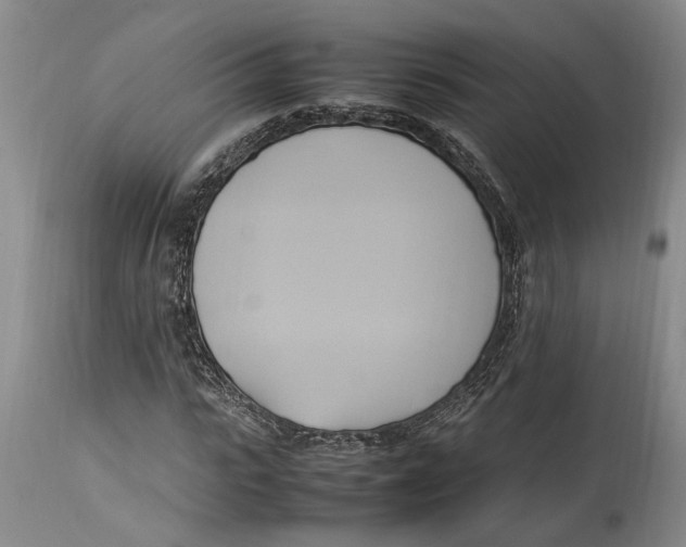 X0000114150919200911051439