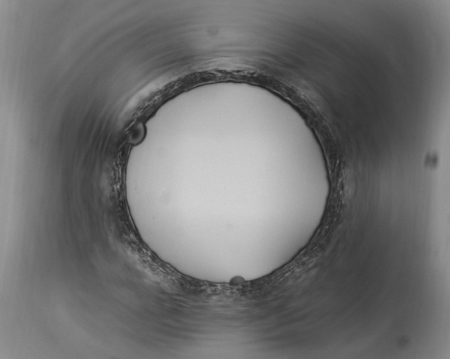 X0000114150920200911051439