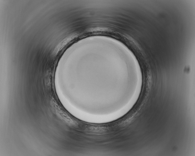 X0000114150921200911051439