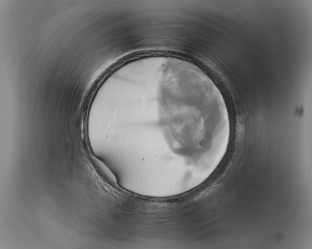 X0000114150925200911051439