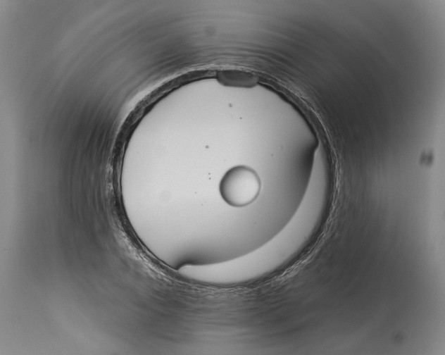 X0000114150928200911051439