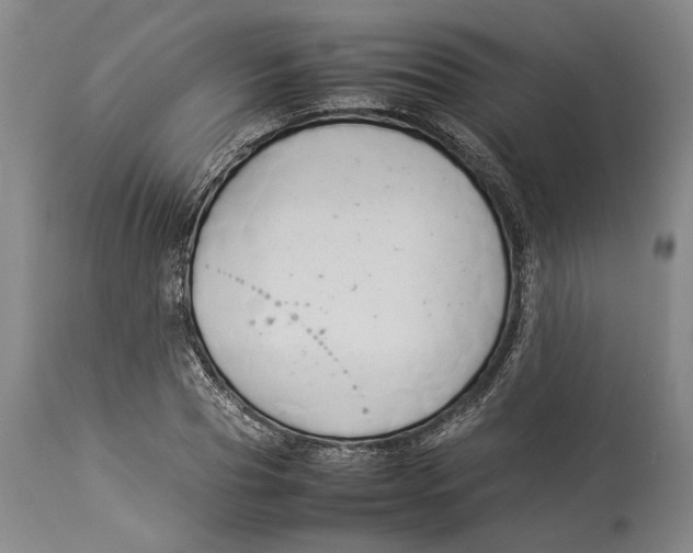 X0000114150929200911051439