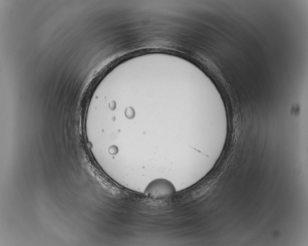 X0000114150931200911051439