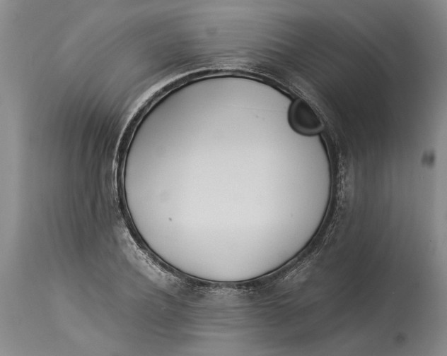 X0000114150932200911051439