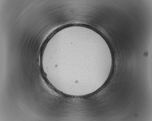 X0000114150934200911051439