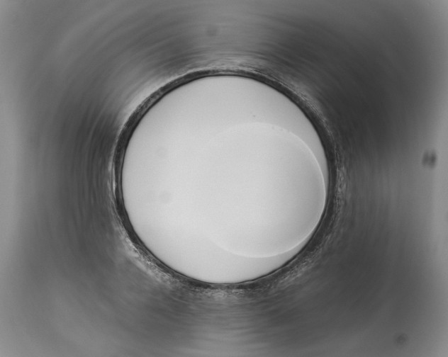 X0000114150936200911051439