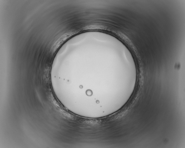 X0000114150937200911051439