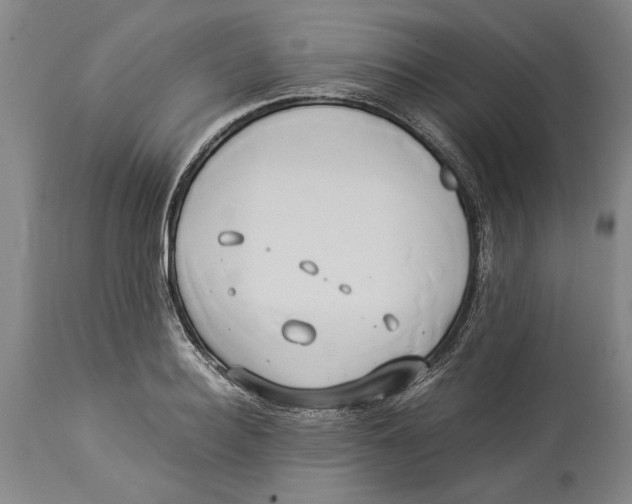 X0000114150940200911051439